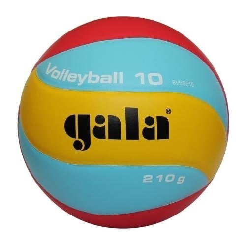 Мяч волейбольный Gala Training BV5551SB - купить в Киеве и Украине