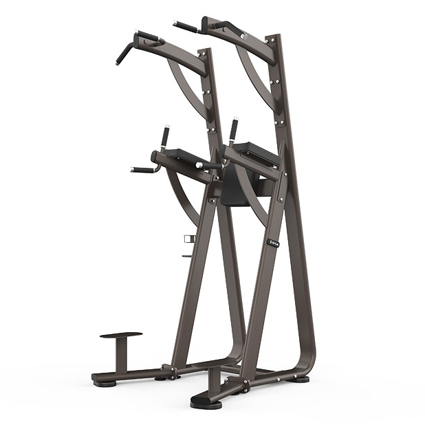 Комбинированный станок Shua Chin Dip Leg SH-G8888 - купить в Киеве и Украине