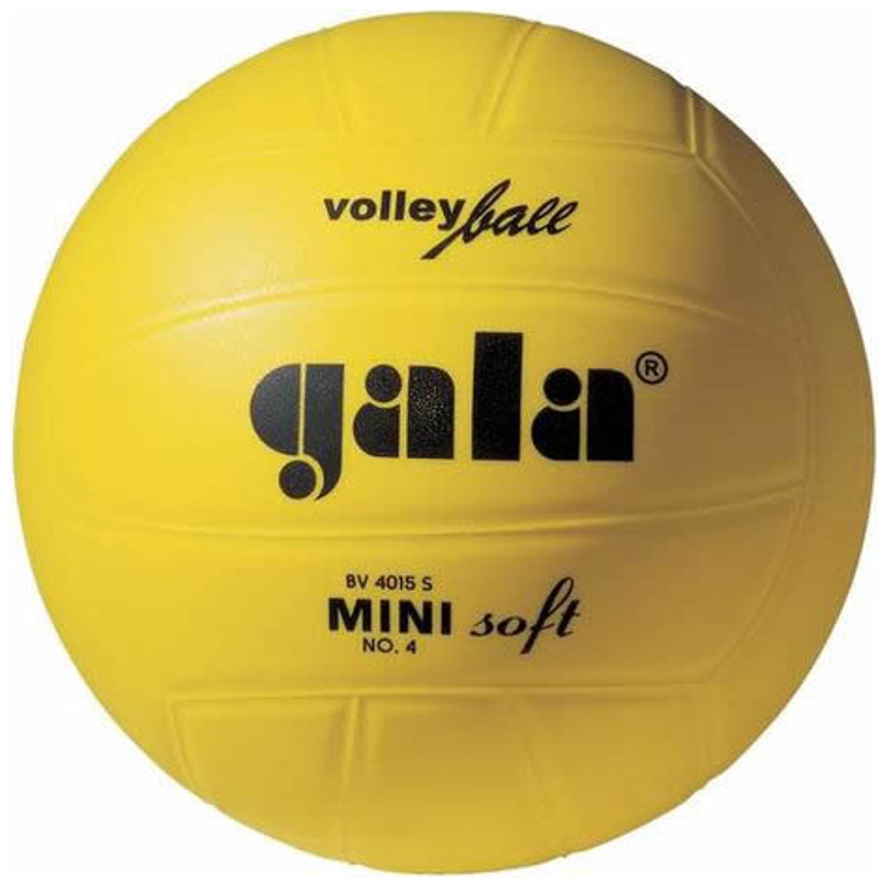Мяч волейбольный Gala Mini Soft BV4015SC - купить в Киеве и Украине