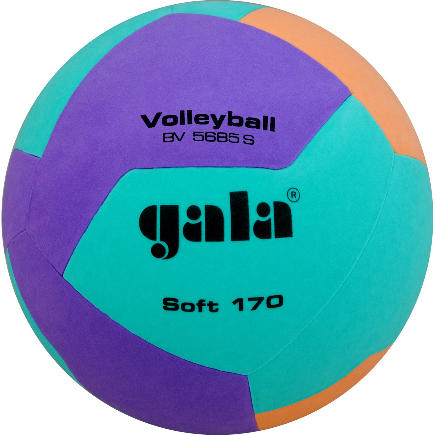Мяч волейбольный Gala Soft BV5685SC - купить в Киеве и Украине