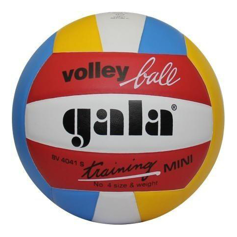 Мяч волейбольный Gala Training BV4041SB*E - купить в Киеве и Украине
