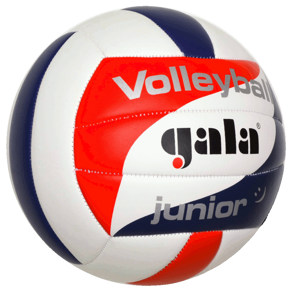 Мяч волейбольный Gala Junior BV5093SC - купить в Киеве и Украине