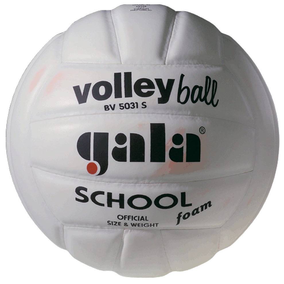 Мяч волейбольный Gala School BV5031SB - купить в Киеве и Украине
