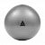 Мяч гимнастический Reebok RAB-12016GRBL 65 см серый - купить в Киеве и Украине