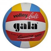 Мяч волейбольный Gala Training BV4041SB*E - купить в Киеве и Украине
