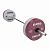 Олимпийская техническая штанга Eleiko в сборе 25 кг 197-0250 - купить в Киеве и Украине