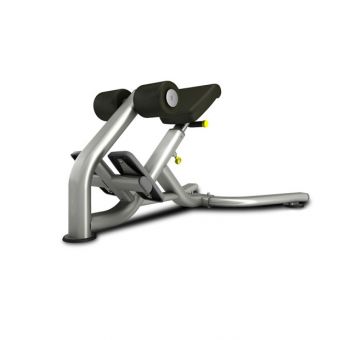 Гиперэкстензия (угол 45°) Pulsefitness 665G