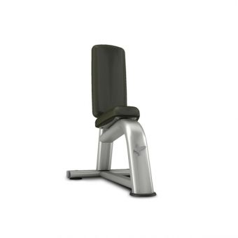 Скамья вертикальная Pulsefitness 800G