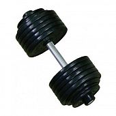 Гантель профессиональная InterAtletika ST550.5 5 кг