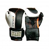 Перчатки боксерские Excalibur 559 Punch 2 10 oz белый-черный - Киев, Украина Перчатки боксерские Excalibur 559 Punch 2 10 oz белый-черный - купить в Киеве и Украине