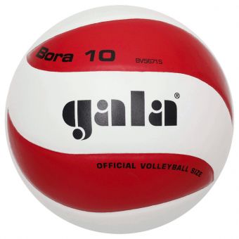 Мяч волейбольный Gala Bora 10 BV5671SC