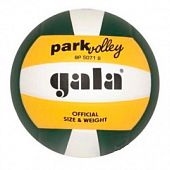 Мяч волейбольный Gala Park Volleyball BP50713SC*E - купить в Киеве и Украине