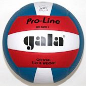 Мяч волейбольный Gala Pro-Line BV5211LAE - купить в Киеве и Украине