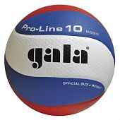 Мяч волейбольный Gala Pro-Line BV5581SA