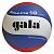 Мяч волейбольный Gala Pro-Line BV5581SA - купить в Киеве и Украине