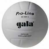 Мяч волейбольный Gala Pro-Line BV5211SAE - купить в Киеве и Украине