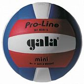 Мяч волейбольный Gala Pro-Line BV4051SAE - купить в Киеве и Украине