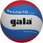 Мяч волейбольный Gala Pro-Line BV5121SA - купить в Киеве и Украине