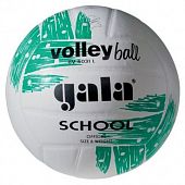 Мяч волейбольный Gala School BV5031LBE - купить в Киеве и Украине