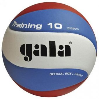М'яч волейбольний Gala Training BV 5561SB