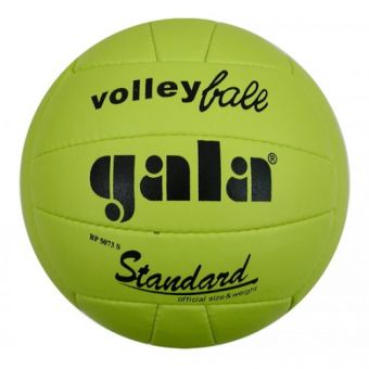 Мяч волейбольный Gala Standard 7BP5073SC3