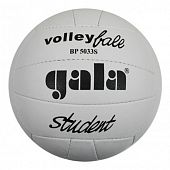 Мяч волейбольный Gala Student 7BP5033SC3 - купить в Киеве и Украине