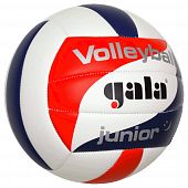 Мяч волейбольный Gala Junior BV5093SC - Киев, Украина Мяч волейбольный Gala Junior BV5093SC - купить в Киеве и Украине