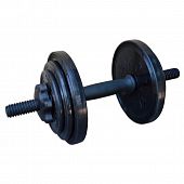 Гантель разборная InterAtletika ST530.10 черный 10 кг - купить в Киеве и Украине