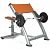 Скамья Скотта SportsArt A999 - купить в Киеве и Украине