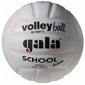 Мяч волейбольный Gala School BV5031SB - Киев, Украина Мяч волейбольный Gala School BV5031SB - купить в Киеве и Украине
