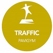 Напольное покрытие Pavigym TRAFFIC - Киев, Украина Напольное покрытие Pavigym TRAFFIC - купить в Киеве и Украине