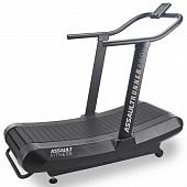 Безмоторная беговая дорожка Assault Runner Pro - купить в Киеве и Украине
