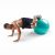 gimnasticheskiy_myach_proform_(55_sm)_5