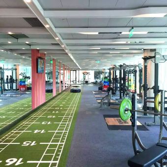 Напольное покрытие Pavigym Turf