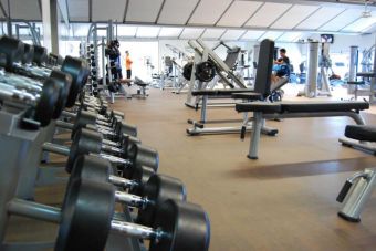 Напольное покрытие Pavigym Endurance