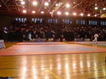 Напольное покрытие Pavigym Tatami