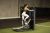 vidad-ABS1011-4