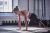 ADMT-11014RD-5