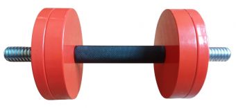 Гантель InterAtletika ST561 12 кг