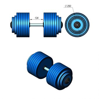 Гантель профессиональная InterAtletika ST550.9 9 кг