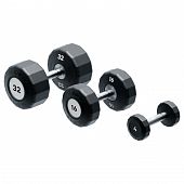 Гантель Eleiko Evo Fixed 3060990 - купить в Киеве и Украине