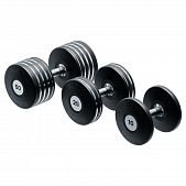 Набор гантелей Eleiko Plate - купить в Киеве и Украине