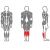 golen'_mashina_(stoya)_x-line_interatletika_x119_1