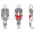 trenazher_dlya_yagodichnykh_myshts_(radial'nyy)_x-line_interatletika_x131_1