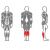golen'_mashina_(stoya)_x-line_interatletika_xr119_1