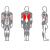 blok_dlya_myshts_spiny_x-line_interatletika_xr118_1