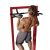 iron_gym_max_pull_up-500x500