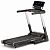 Беговая дорожка Reebok A2.0 RVAR-10221SL - купить в Киеве и Украине