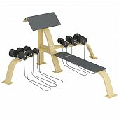 Парта Скотта Explode KF815-S с гантелями и лавкой - купить в Киеве и Украине