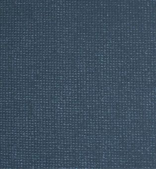 Мат для йоги Friedola Eco Plus синій 74220